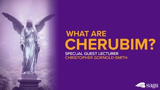 What are Cherubim?