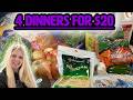 4 Budget Friendly Family Dinners I Made With Only 20