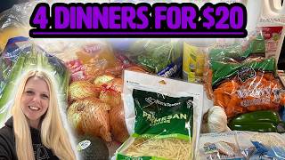 4 Budget Friendly Family Dinners I Made With Only $20