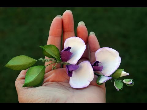 Paper Flower Making - Sweet Pea Flowers by Archana Joshi ( EK Success)