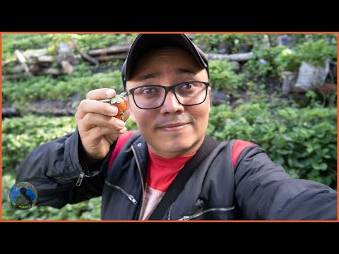 Conociendo LAS SABANAS, MADRIZ NICARAGUA 🇳🇮