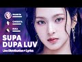 BABYMONSTER SUPA DUPA LUV Line Distribution Lyrics Karaoke PATREON REQUESTED