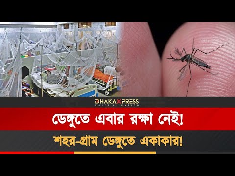 এবারের ডেঙ্গু আগের চেয়ে ভয়ংকর, মৃত্যু বেড়েছে চার গুণ!