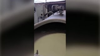 Latte Bergamo: tremila litri gettati via perché non conviene