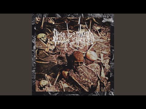 Shoot First, DIE Later