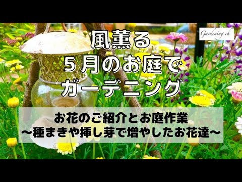 屋内庭に5月に何の花を植えますか