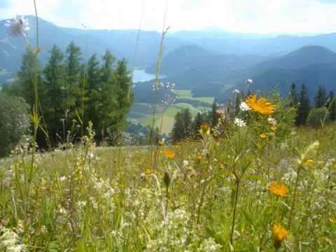 DOBRE STARE NARODNE PJESME ``73. ``75..