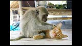 I FOUND YOU - JIM STEVENS (BeDo)