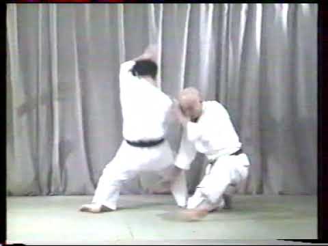 Essence of Wado Ryu Karate — Part 4