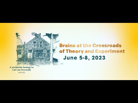 Larry Abbott - Mean-field theory of networks with plastic synapses