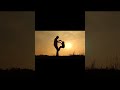 Dekhatha Usne Pyar Se Bas Ek Nazar Vinod Rathore Anuradha Padwal Movi Dewana Sanam