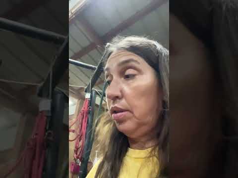 Best way to remove cockleburs! Best way to remove cockleburs!