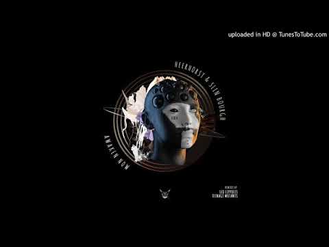 Heerhorst, Slin Bourgh - Dark Lights (Leo Lippolis Remix) [Black Kat]
