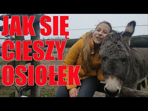 OSIOŁEK OLEK I JEGO RADOSNE POWITANIE