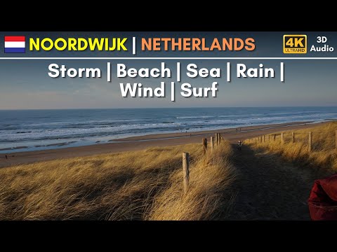 4K Nature Walk: NETHERLANDS | Noordwijk Beach | The Perfect Storm |