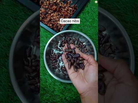Cocoa Bean to chocolate bar process | Bean to bar #chocolate #shorts #youtubeshorts