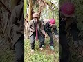 Digi Digi New Hit By Abongo Jakabwana