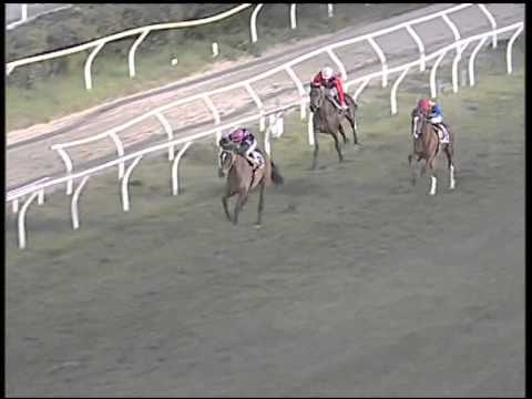 Galoppo 10/02/2015 - 5° corsa