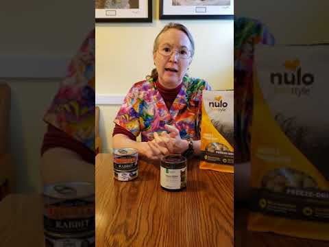 Canned cat food shortage-Options for cat owners