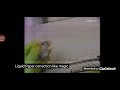 Liquid Peper Version 9 TVC 1982