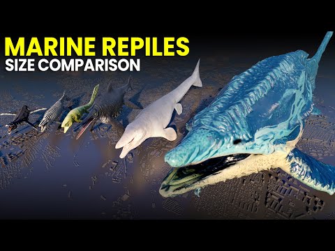 Ancient Marine Reptiles Size Comparison | MOSASAURUS Vs TYLOSAURUS