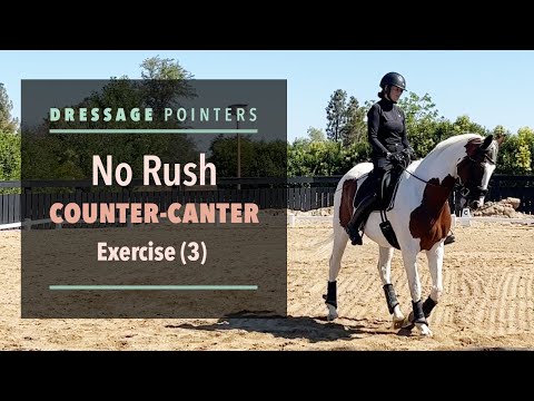 , title : 'Dressage Pointers: No Rush Counter-Canter Exercise (3)'