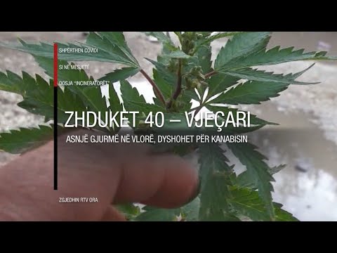 Edicioni informativ - 17 tetor 2020 - Ora 09:00 – Ora News