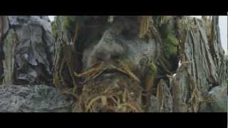 Admiral Fallow - The Paper Trench [Official Music Video]