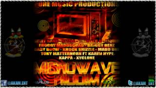 Instrumental [Microwave Riddim - Pure Music Productions] Sept 2012