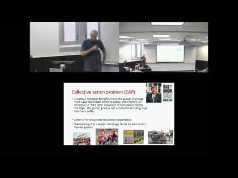 Collective action problem in heterogeneous groups