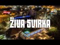 MOJA ŽIVA SVIRKA Milan Stojčinović Zoran Đokić Slađana Dragojlović I Orkestar Dragana Zarića