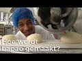 Hoe wordt bapao gemaakt? | Vragen van kinderen | Het Klokhuis