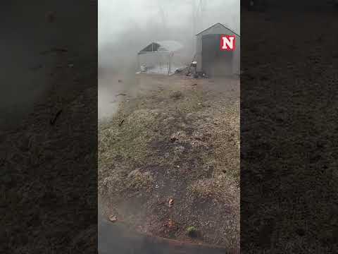 Tornado Rips Up Backyard Moments After Family Brings Dog Inside