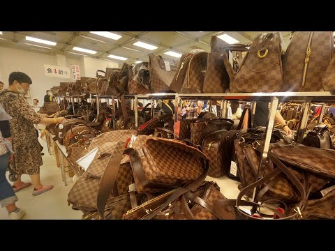 Largest Branded Charity Event Tokyo June 2025 |Japan Travels