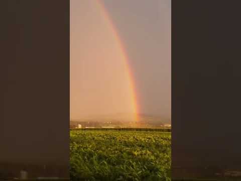 Video thumbnail for Bad Days (High)