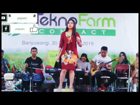 ALVI ANANTA  KETAMPEL PERDANA MUSIK