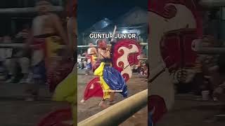 Download lagu polahe koyo bapak ne.mbah guntur junior di jatilan Turonggo sakti kakiurang #jatilan #jaranan mp3