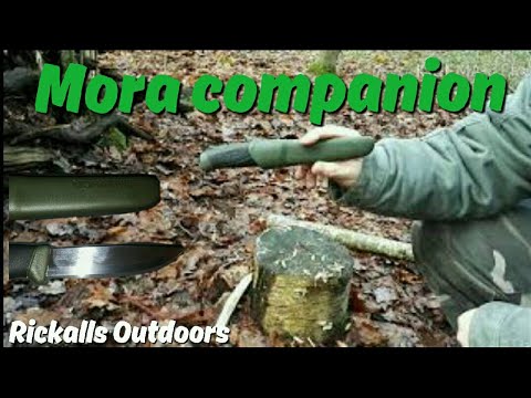 The Mora companion knife | #morakniv #review #knife #bushcraft