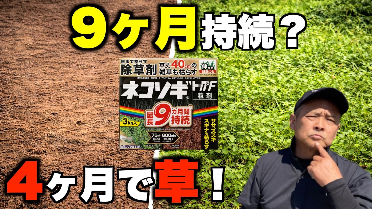 【除草剤】これが真実。ネコソギ9ヶ月は本当か？