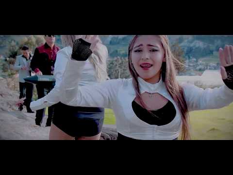 LOS DUROS - MIX BAILABLE (Audio y Video Oficial)