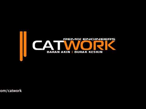 Catwork Remix Engineers - Insomnia