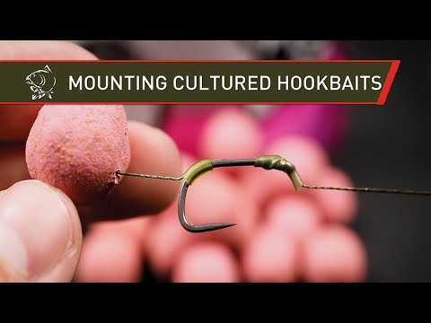How to mount a Cultured Hookbait - Carp Fishing