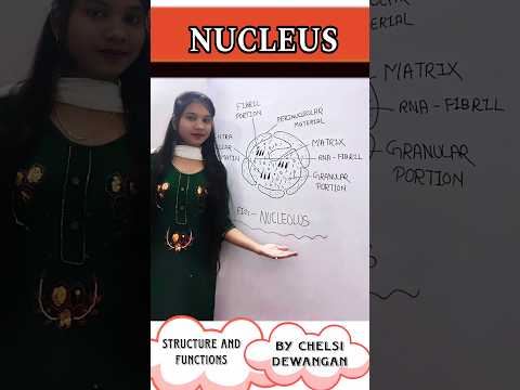 Nucleolus Structure and functions 😍 || #shorts #shortvideo #shortsfeed #neet #viralvideo #nucleolus