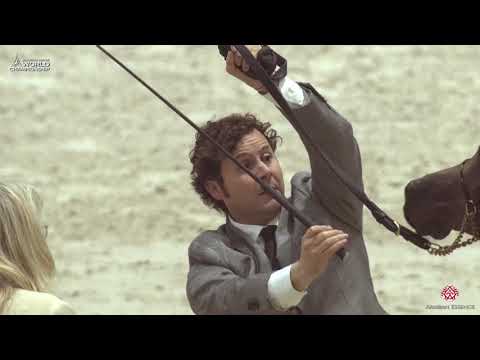 N 25 BALLERINNA   Paris 2019   Yearling Fillies Class 1B