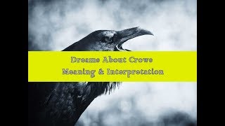 #14 Dreaming about Crows - Meaning and Interpretation