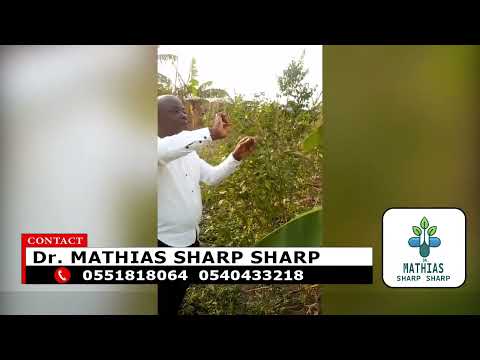 How to cure spiritual sickness