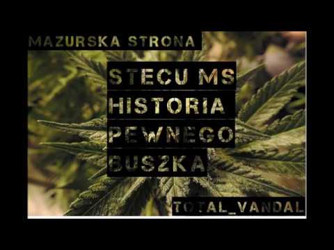 Stecu MS- Historia pewnego buszka