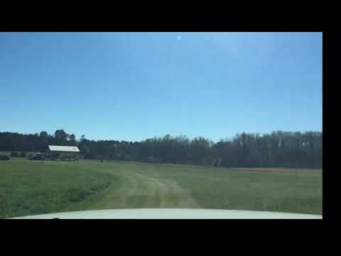 Tornado Damage path in Gray Court SC.