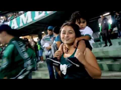 POR VOCÊ, KRUGER | OBRIGADA FLECHA!