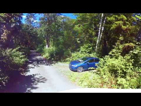 Lena Creek Campground Lilliwaup Washington - 360 Video Virtual Tour 4K